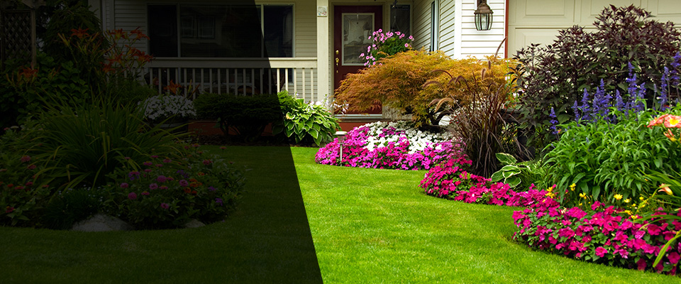 Mikana Landscapers