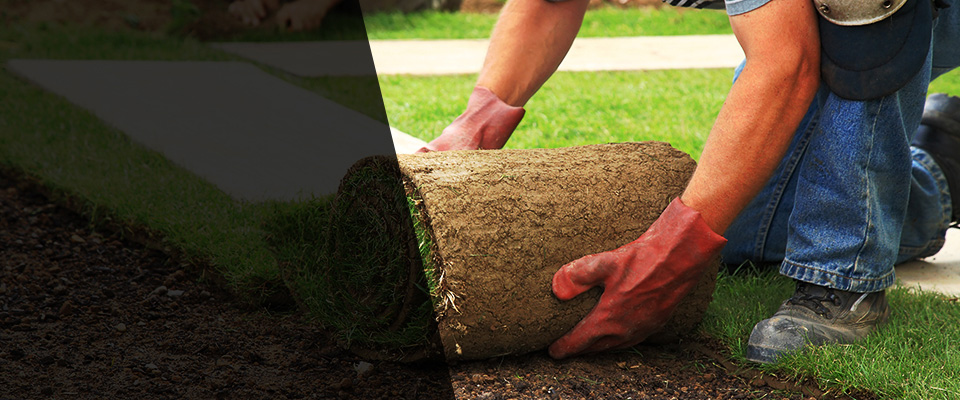 Mikana Landscapers